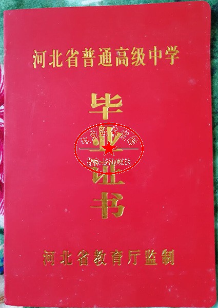 c49258571c114e67c04b5edec70add5e.jpg