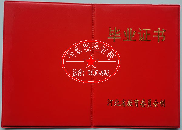 3088ba8b7b424028bedab608e9c75313.jpg