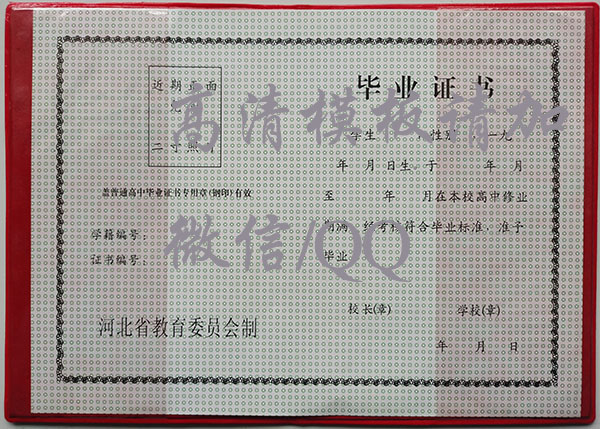 6c1634e434cb0d281d8b4e4630fdf41a.jpg