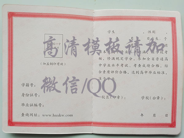 桃江县生辉中学2005届高中毕业证内芯