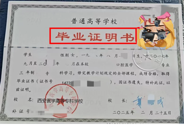 微信图片_20250525073311.png